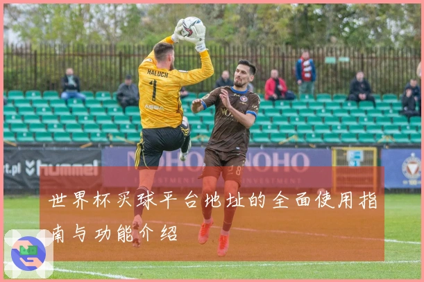 世界杯买球平台地址的全面使用指南与功能介绍