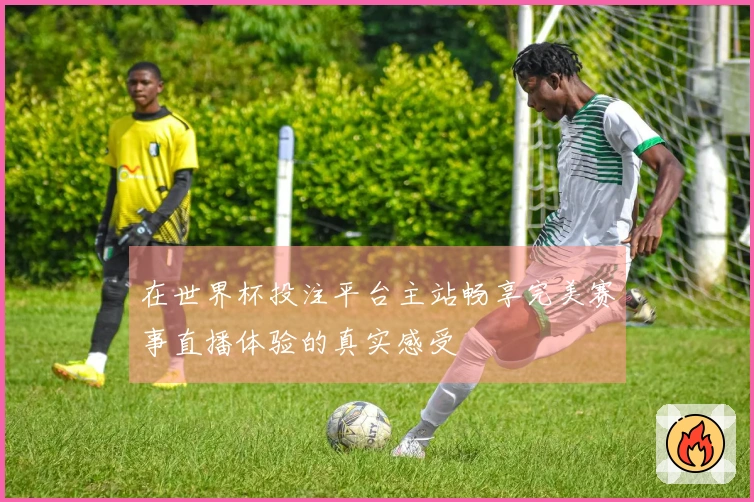 在世界杯投注平台主站畅享完美赛事直播体验的真实感受
