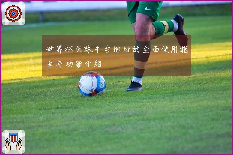 世界杯买球平台地址的全面使用指南与功能介绍