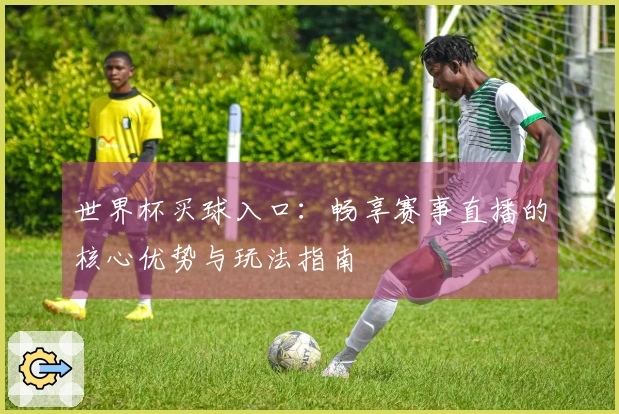 世界杯买球入口：畅享赛事直播的核心优势与玩法指南