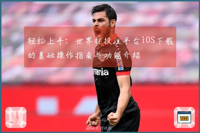 轻松上手：世界杯投注平台iOS下载的基础操作指南与功能介绍
