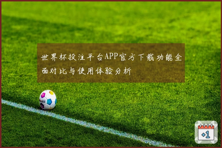 世界杯投注平台APP官方下载功能全面对比与使用体验分析