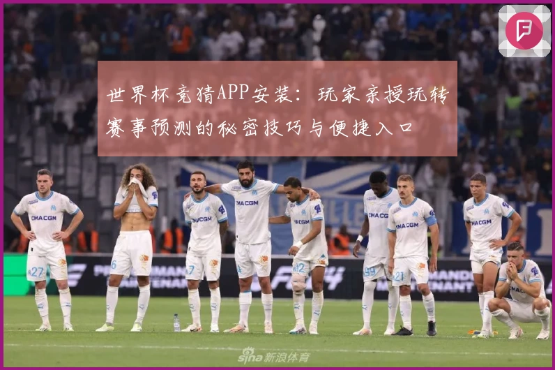 世界杯竞猜APP安装:玩家亲授玩转赛事预测的秘密技巧与便捷入口