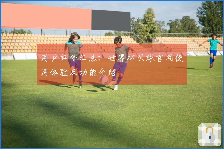用户评价汇总：世界杯买球官网使用体验及功能介绍