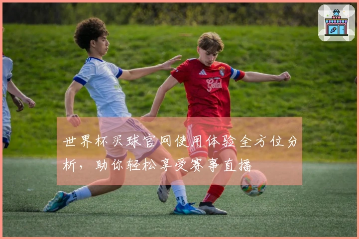 世界杯买球官网使用体验全方位分析，助你轻松享受赛事直播