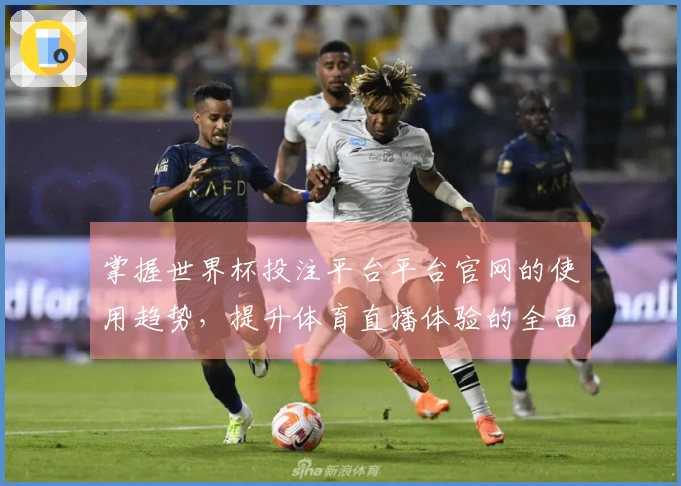 掌握世界杯投注平台平台官网的使用趋势，提升体育直播体验的全面指南